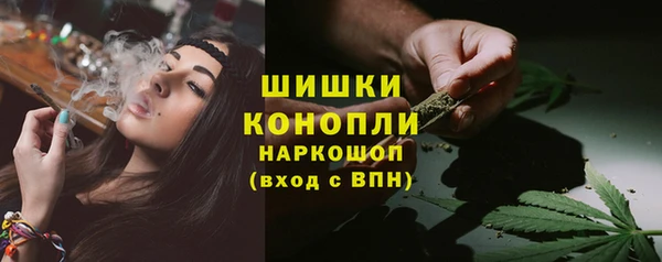 хмурый Карпинск
