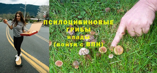хмурый Карпинск