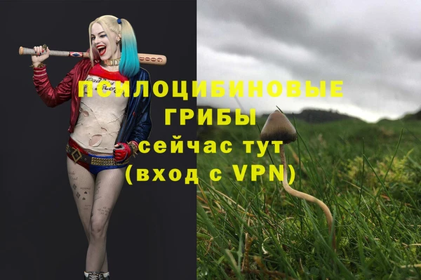 хмурый Карпинск