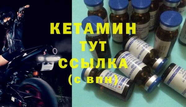 дживик Касимов