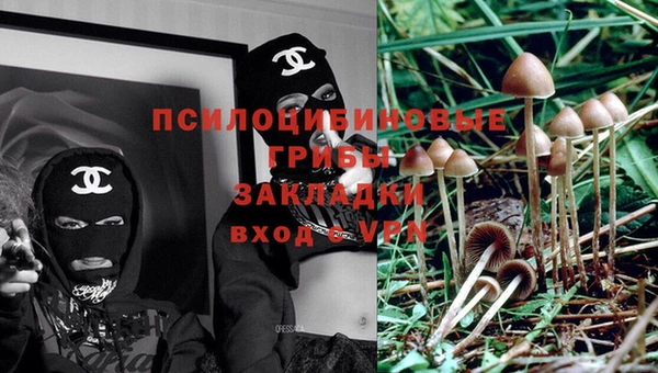 скорость Карталы